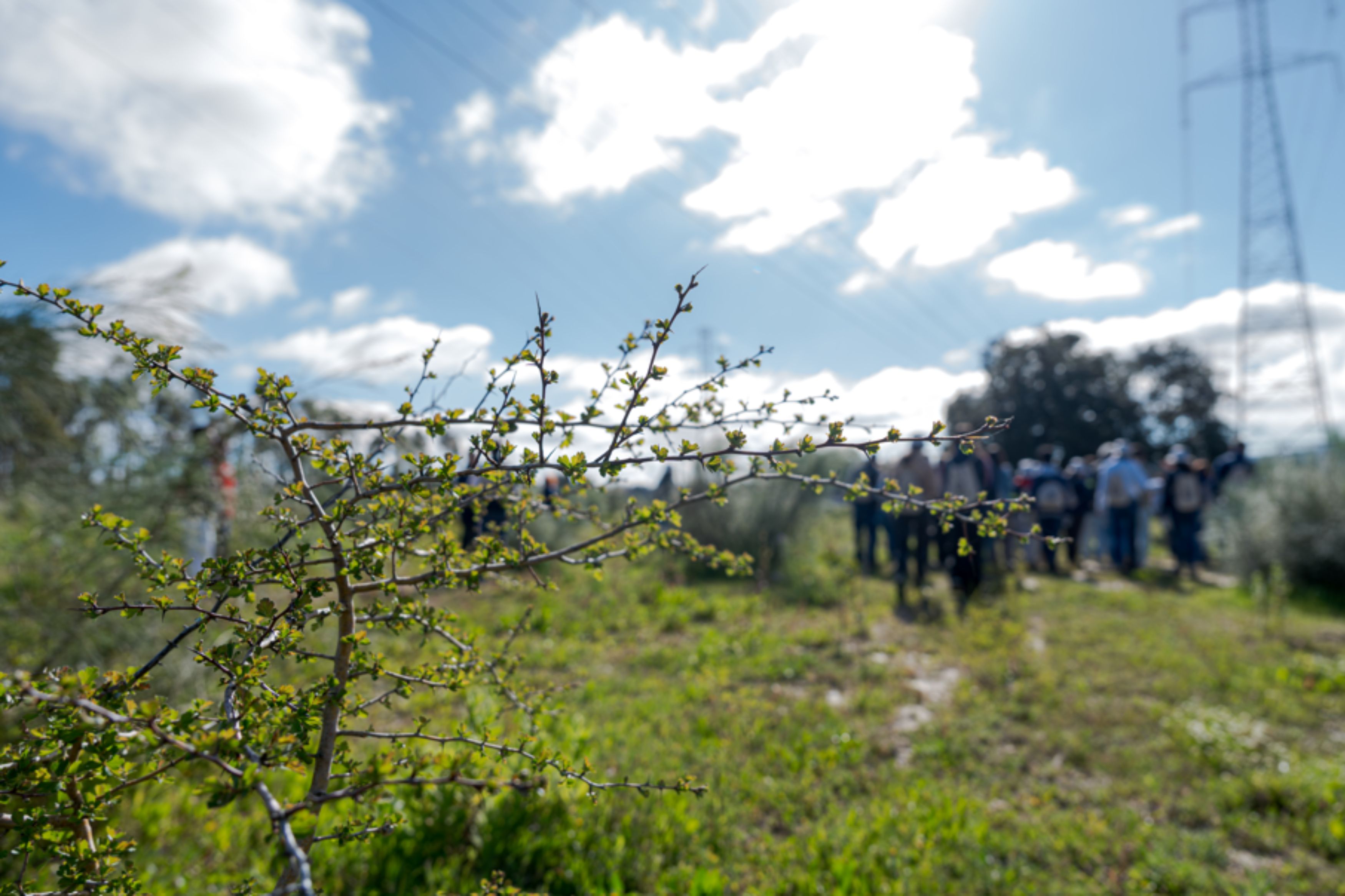 Design sem nome(135)